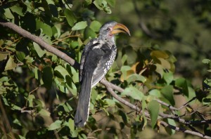 wpid-dsc_0218.jpg