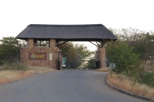 wpid-img_0683.jpg