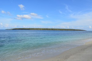 DSC_0856