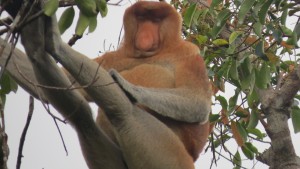 IMG_3720