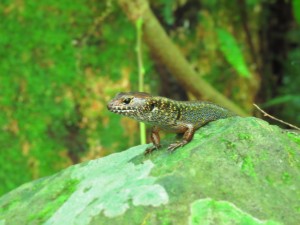 IMG_4305